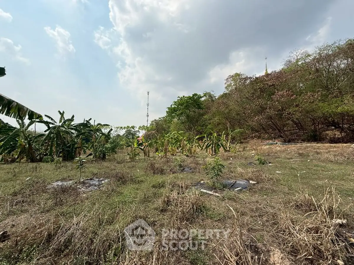 Expansive land plot with lush greenery and clear skies, perfect for development opportunities.