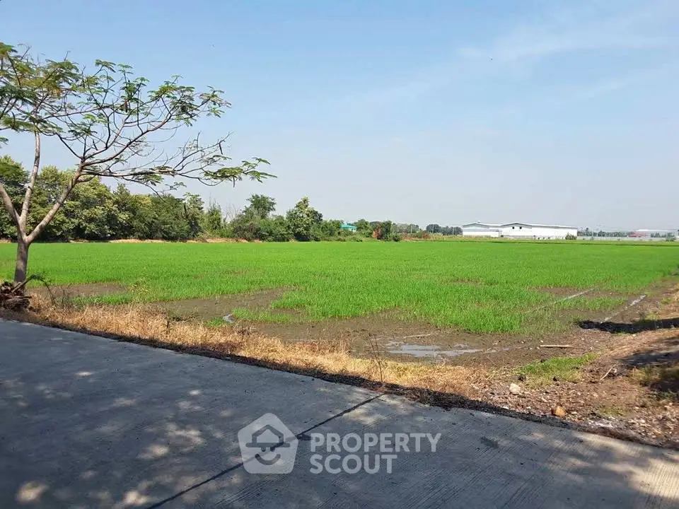 Expansive green field with clear blue sky, ideal for agricultural development or investment opportunities.