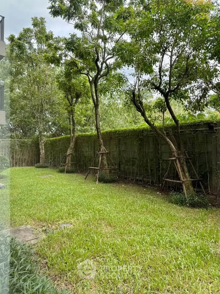 Lush green garden with tall trees and privacy wall, perfect for relaxation and outdoor activities.