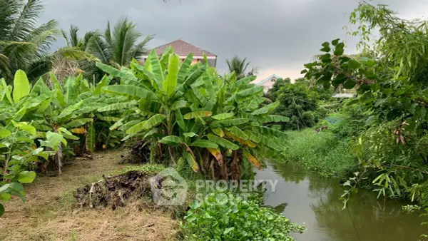 image_rental-23796235