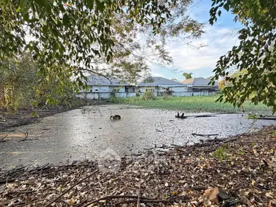 image_rental-30175053