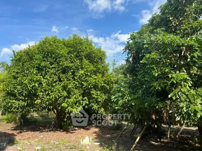 Lush garden area with mature trees under a clear blue sky, perfect for nature lovers.