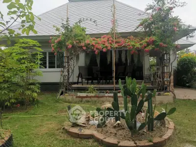 image_rental-31606425