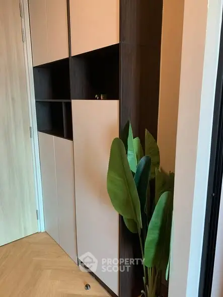 Modern interior with sleek storage and stylish plant decor