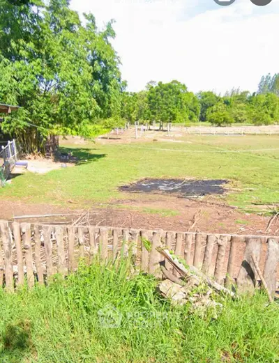 image_rental-27441897