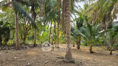 image_rental-30361612