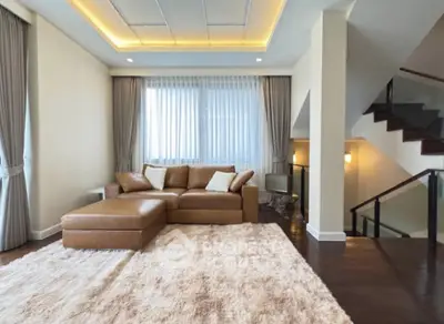 Luxurious living room with leather sofa and plush rug in modern home