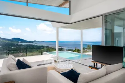Luxurious living room with stunning ocean view and infinity pool in modern villa