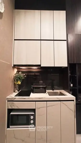 Modern compact kitchen with sleek cabinetry and built-in appliances