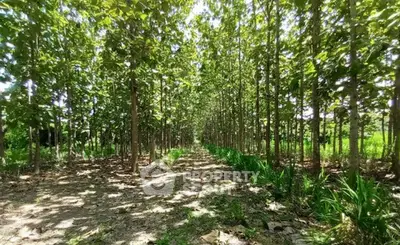 image_rental-31750827
