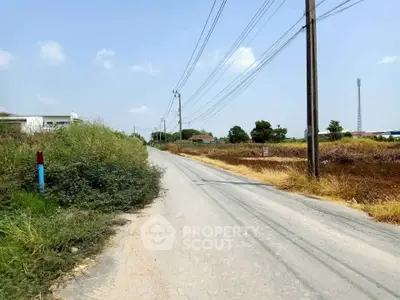 Expansive land plot with road access, ideal for development or investment opportunities.