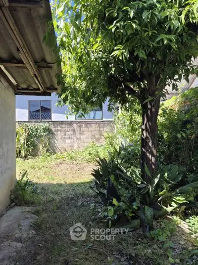 Charming backyard garden with lush greenery and mature tree, perfect for outdoor relaxation and gardening enthusiasts.