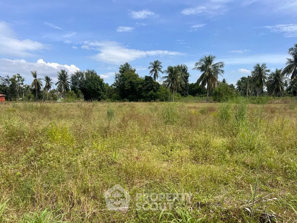 Expansive land plot with lush greenery and palm trees, perfect for development or agriculture.