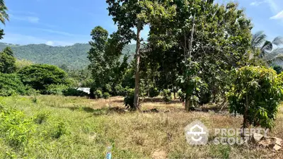 Scenic land plot with lush greenery and mountain views, perfect for development or investment.