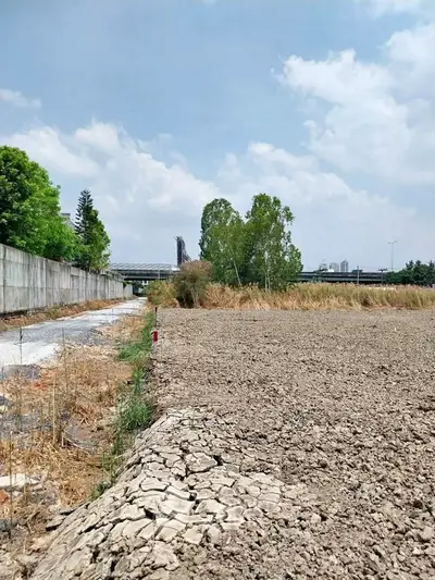 image_rental-26970975