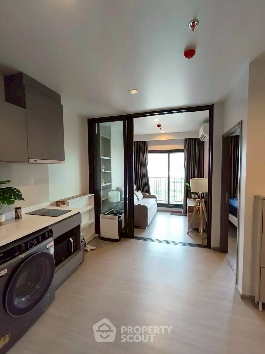 Modern apartment interior with open kitchen and cozy living area