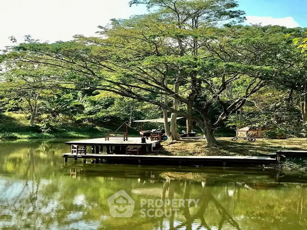 Serene garden with lush trees and tranquil pond, perfect for relaxation and nature lovers.