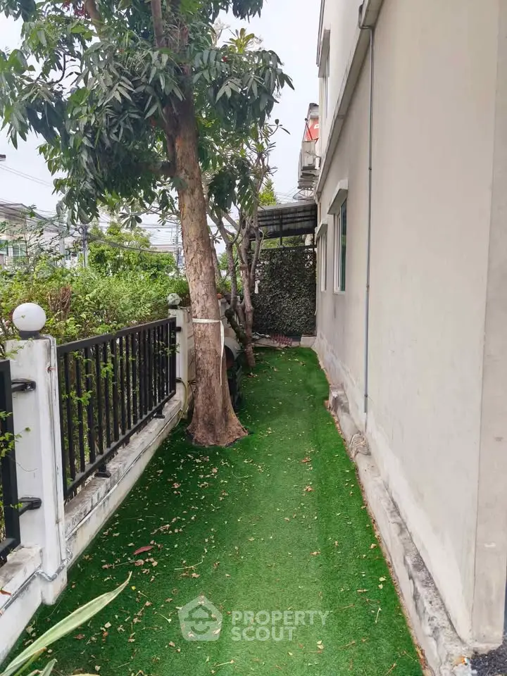 Charming side garden with lush greenery and privacy fence