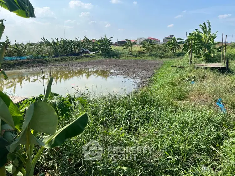 Expansive rural land with pond and lush greenery, perfect for agricultural development.