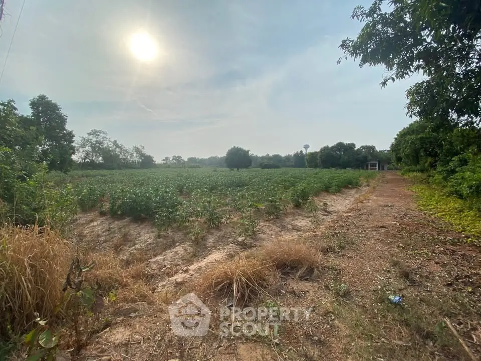 Expansive agricultural land with lush greenery and clear skies, perfect for farming or development opportunities.