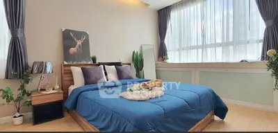 image_rental-28026474