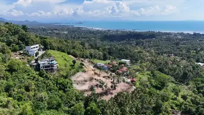 Stunning aerial view of lush green landscape with ocean backdrop, showcasing prime real estate potential.