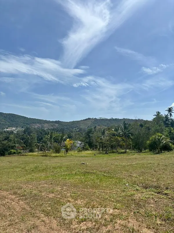 image_rental-27669480