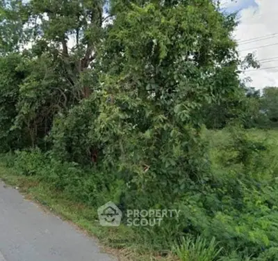 Screenshot 2025-10-03 184001-Photoroom.png