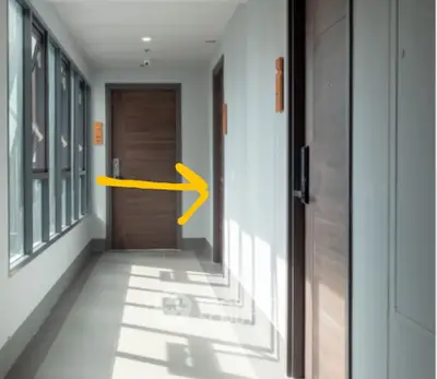 Modern apartment hallway with wooden doors and natural light