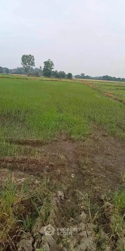 image_rental-27969864