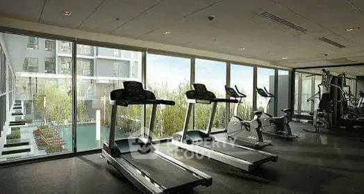 Modern gym with large windows overlooking a serene outdoor pool area.