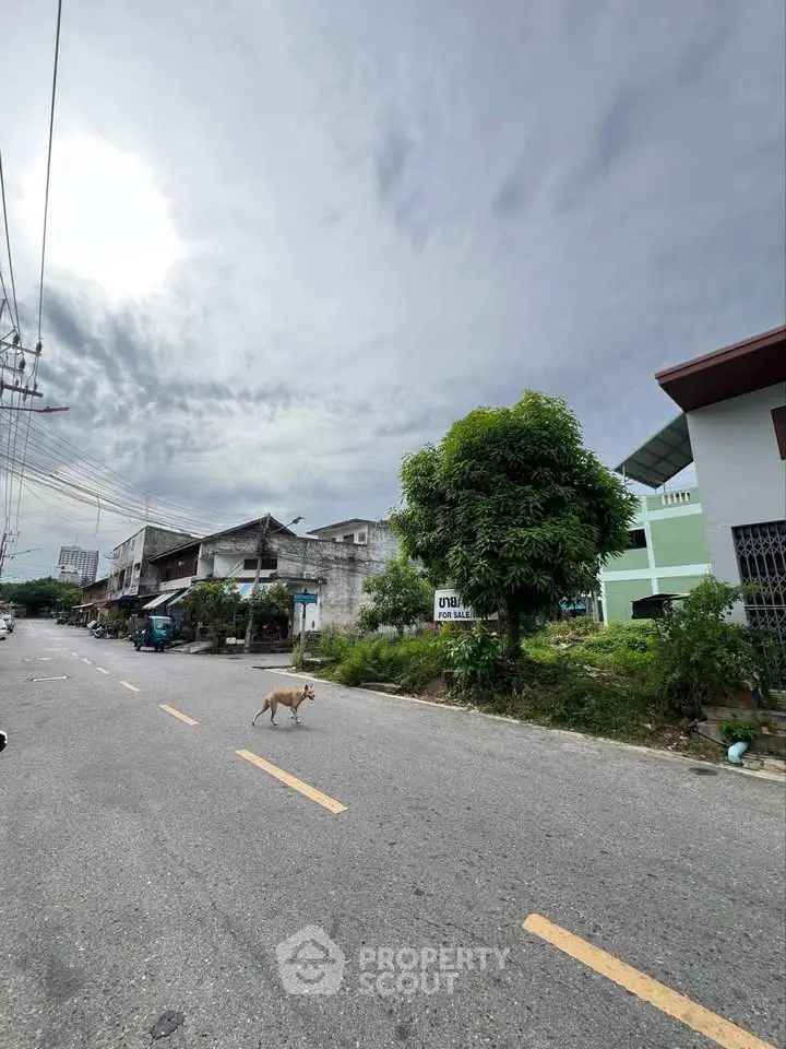 Charming street view with rustic houses and lush greenery, perfect for serene living.