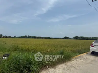 image_rental-27238003