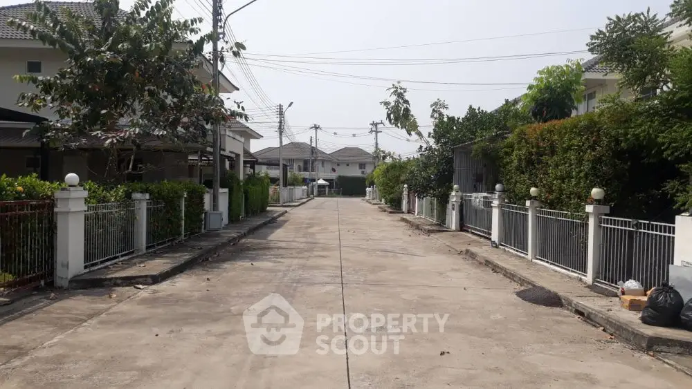Charming suburban street with modern houses and lush greenery