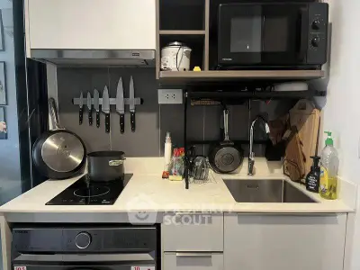 Compact modern kitchen with sleek appliances and efficient storage solutions.