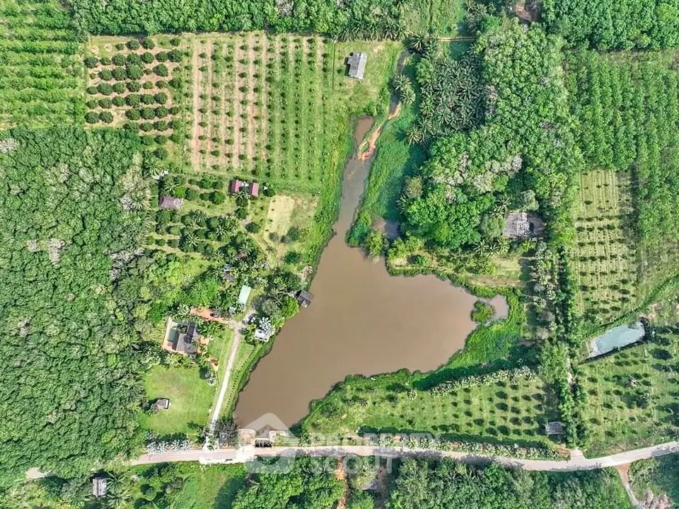 Aerial view of lush farmland with a central pond, surrounded by greenery and small structures.