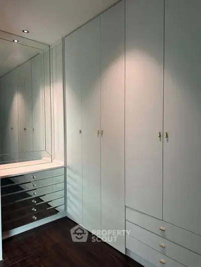Spacious walk-in closet with sleek cabinetry and mirrored accents, perfect for luxury storage solutions.