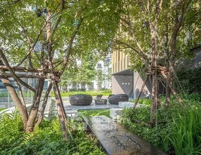 image_rental-31793953