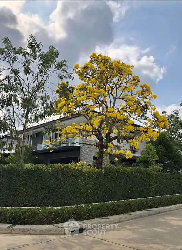 image_rental-28299476