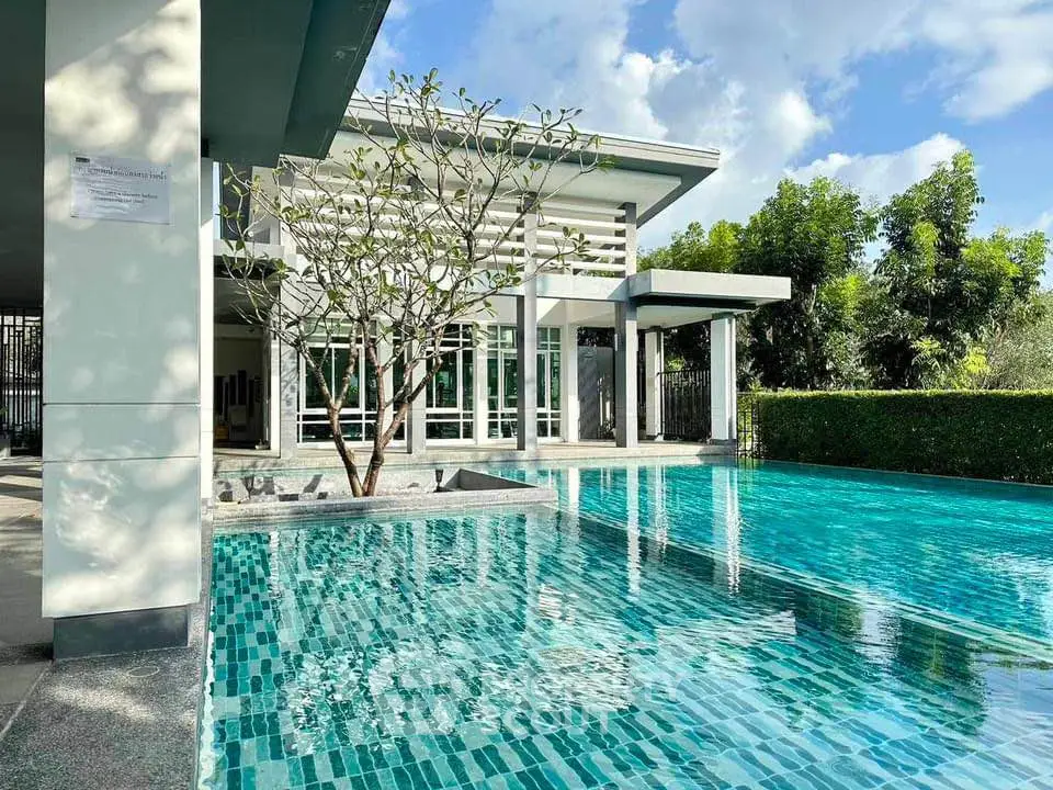 Luxurious modern home with stunning pool and lush greenery, perfect for relaxation and entertainment.