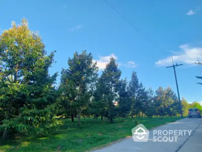 Scenic view of lush green garden with trees and clear blue sky