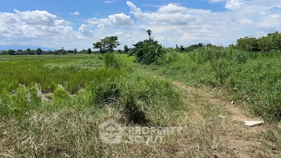 Expansive green field under a bright blue sky, perfect for development or agriculture.