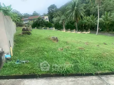 Lush green plot of land with tropical surroundings, ideal for building a dream home.