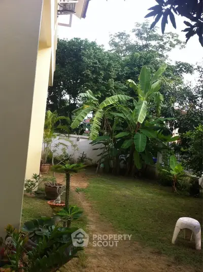 Charming garden view with lush greenery and banana trees, perfect for outdoor relaxation and nature lovers.