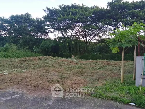 image_rental-27894018