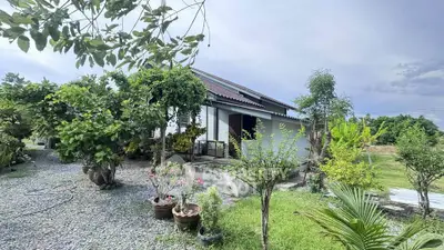 Charming countryside house with lush garden and gravel pathway