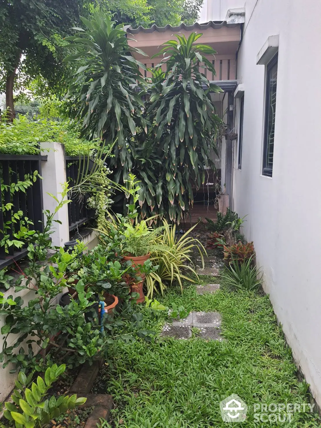 Charming home exterior with a lush green pathway leading to a cozy entrance, surrounded by vibrant tropical plants and foliage.