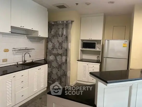 Charming kitchen with modern appliances and elegant cabinetry in cozy apartment.