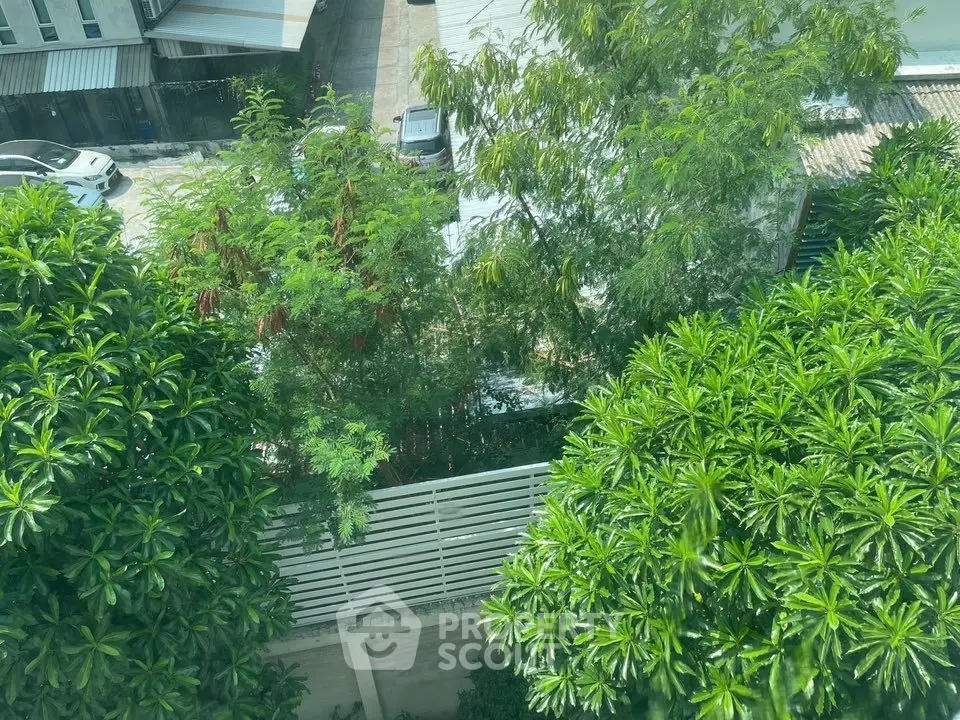 Lush green garden view from a high-rise apartment, showcasing vibrant foliage and serene surroundings.