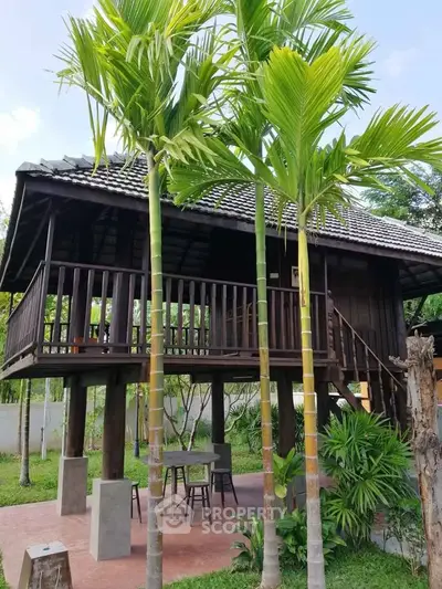 Charming elevated wooden house with lush garden and palm trees, perfect for tropical living.